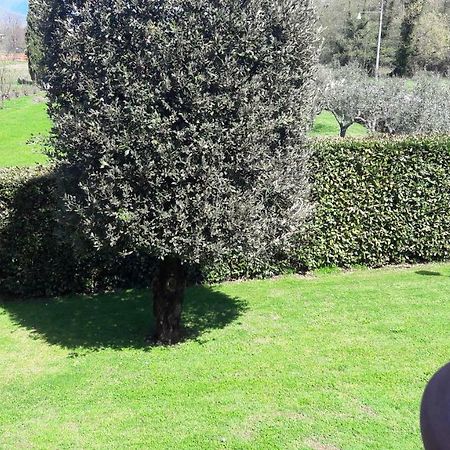 Villa Serena Capannori Eksteriør billede