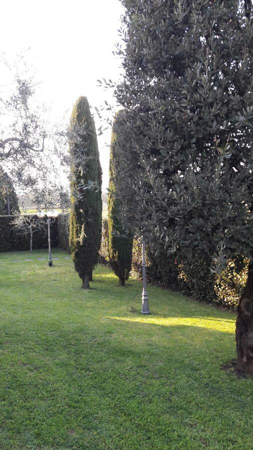 Villa Serena Capannori Eksteriør billede